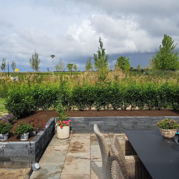 Tuinonderhoud