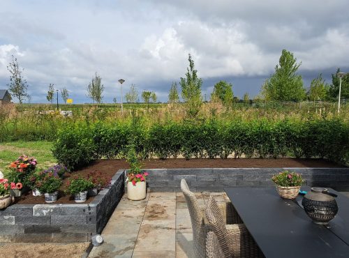 Tuinonderhoud